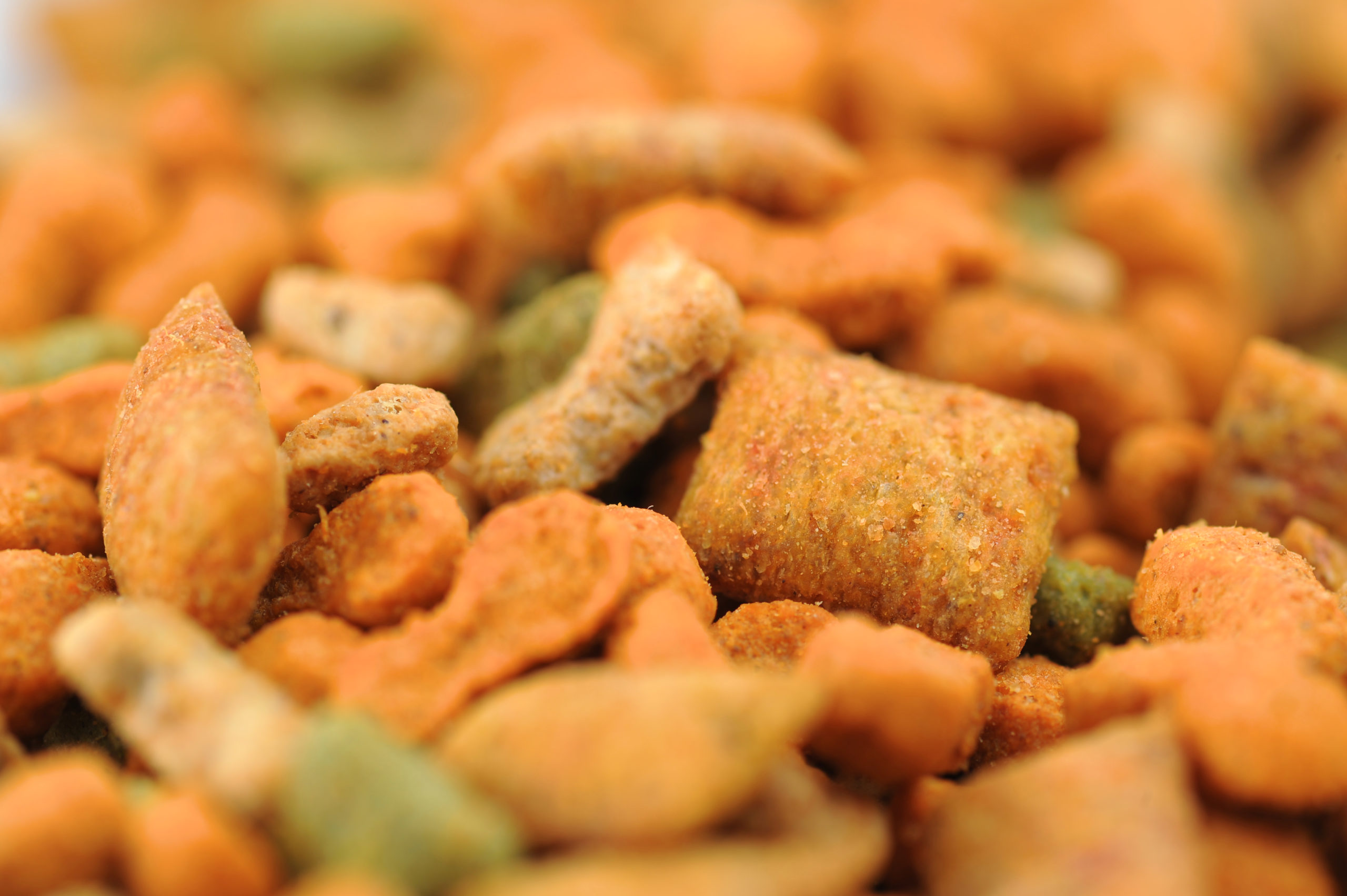 Warum kein Trockenfutter für Hunde - GetreiDefreies Trockenfutter ScaleD